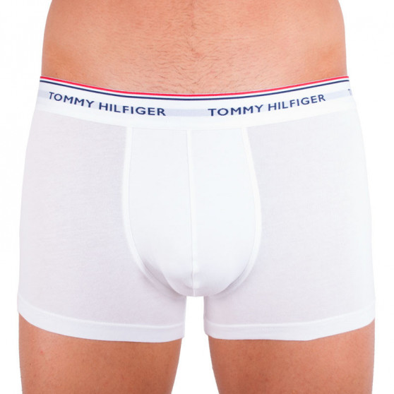 3PACK Pánske boxerky Tommy Hilfiger viacfarebné nadrozmer (1U87905252 004)