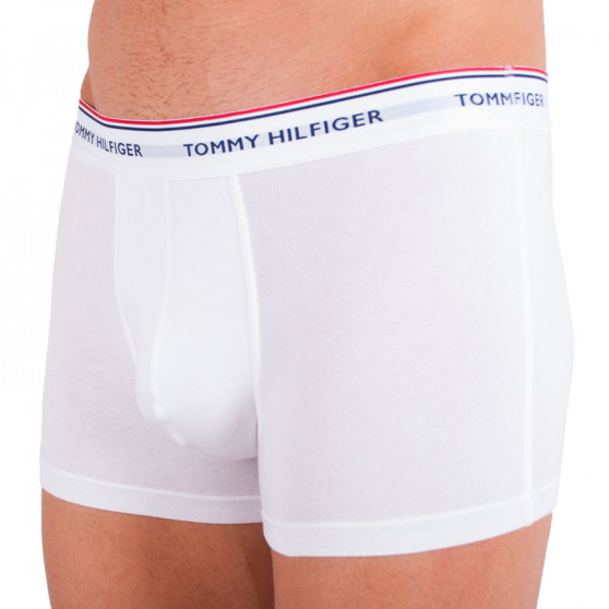 3PACK Pánske boxerky Tommy Hilfiger viacfarebné nadrozmer (1U87905252 004)