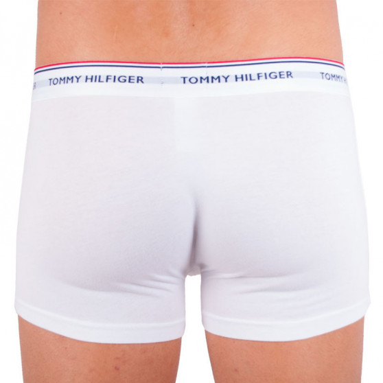 3PACK Pánske boxerky Tommy Hilfiger viacfarebné nadrozmer (1U87905252 004)