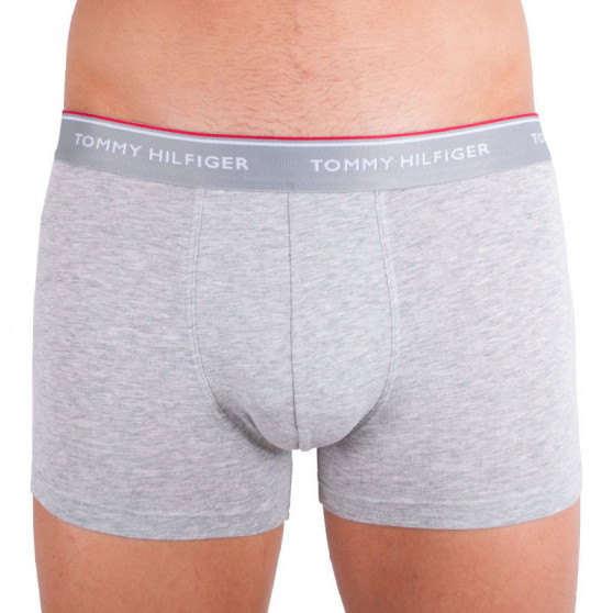 3PACK Pánske boxerky Tommy Hilfiger viacfarebné nadrozmer (1U87905252 004)