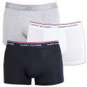 3PACK Pánske boxerky Tommy Hilfiger viacfarebné nadrozmer (1U87905252 004)