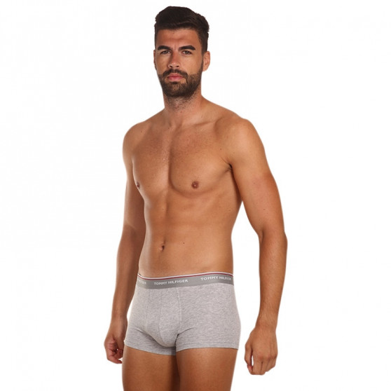 3PACK Pánske boxerky Tommy Hilfiger viacfarebné (1U87903841 004)