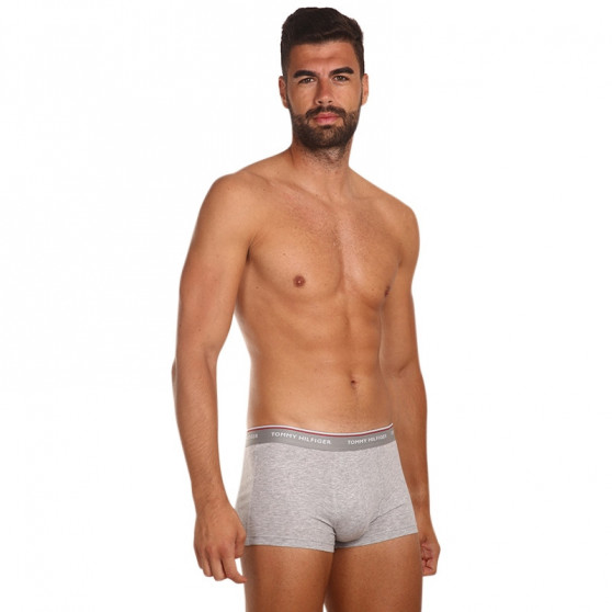 3PACK Pánske boxerky Tommy Hilfiger viacfarebné (1U87903841 004)