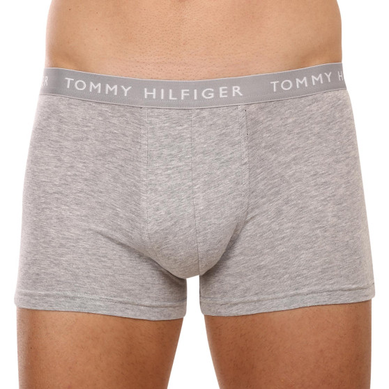 3PACK Pánske boxerky Tommy Hilfiger viacfarebné (UM0UM02203 0XK)