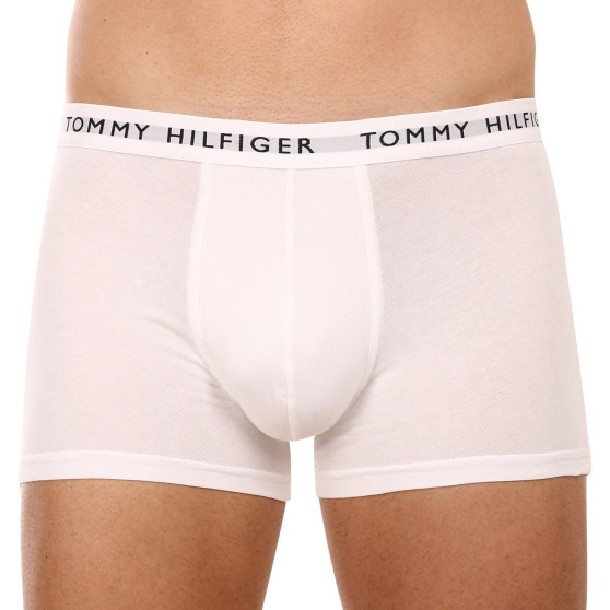 3PACK Pánske boxerky Tommy Hilfiger viacfarebné (UM0UM02203 0XK)