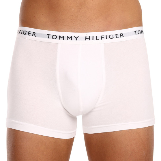 3PACK Pánske boxerky Tommy Hilfiger viacfarebné (UM0UM02203 0WS)