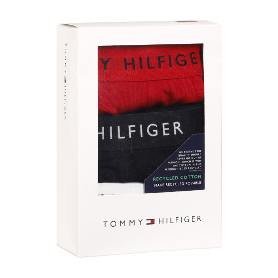 3PACK Pánske boxerky Tommy Hilfiger viacfarebné (UM0UM02203 0WS)